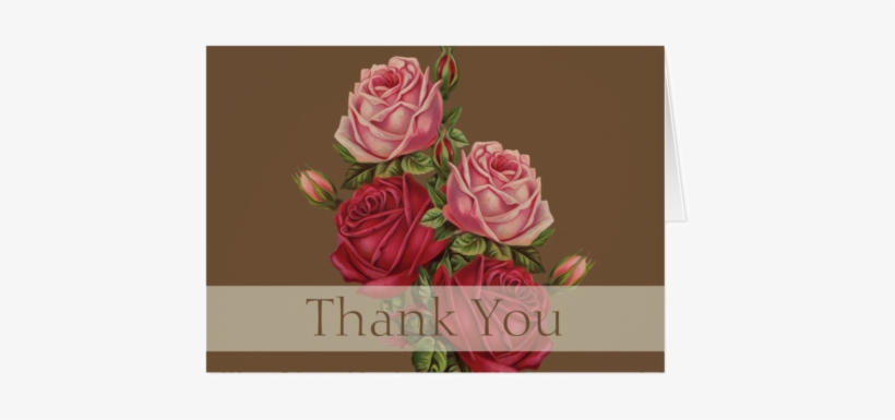 Antique Roses Thank You Note Card - Giclee Painting: Seed Catalogues: The Geo. H. Mellen, transparent png download