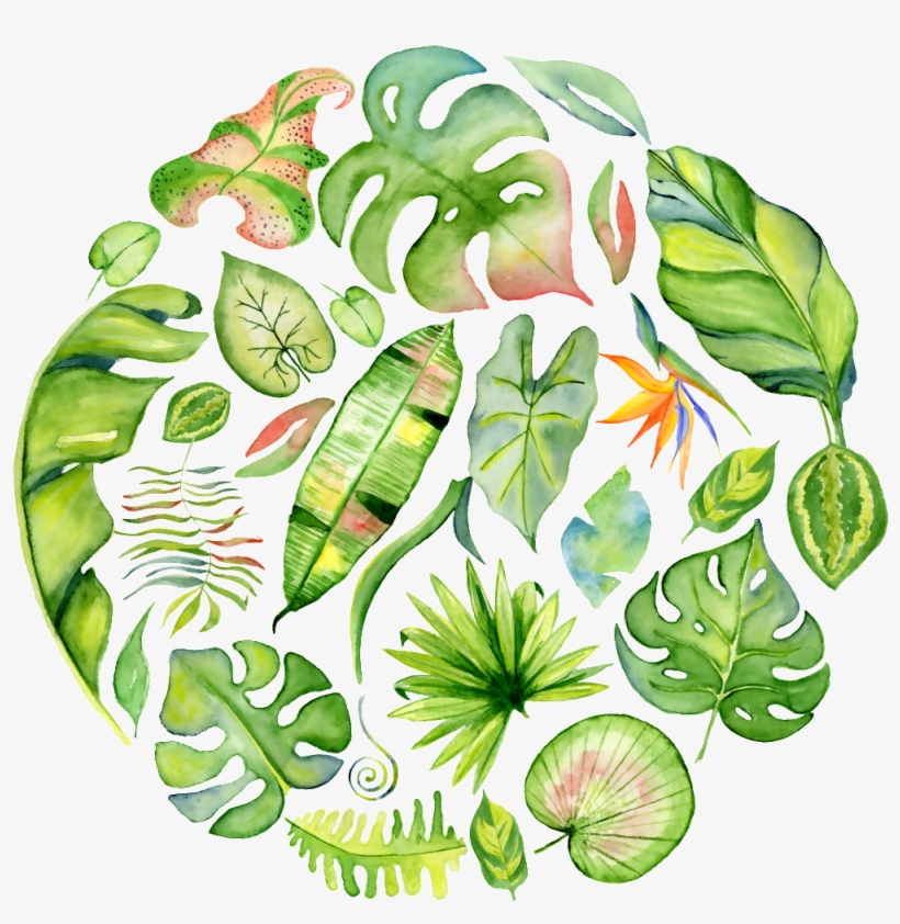 A Round Png Transparent Material For Hand-painted Leaves - Watercolor Painting, transparent png download