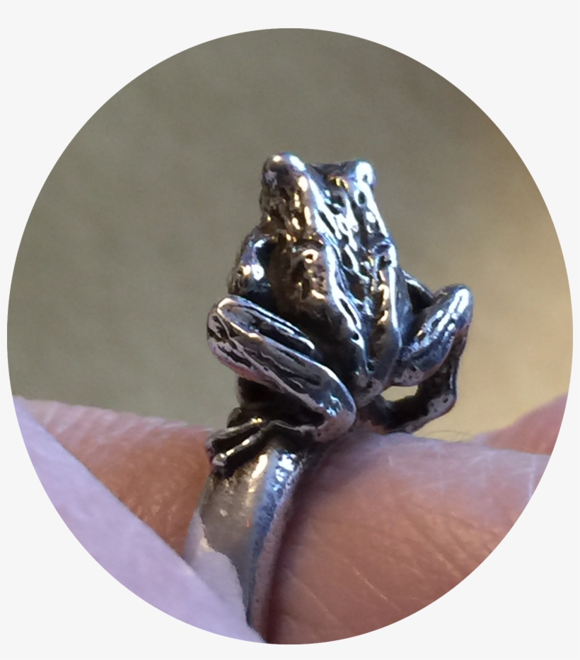 Japanese Rain Frog Ring - Alligator, transparent png download