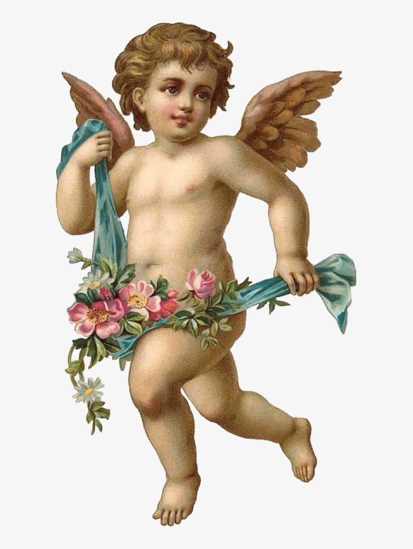 Angel Png - Angel Cherub, transparent png download
