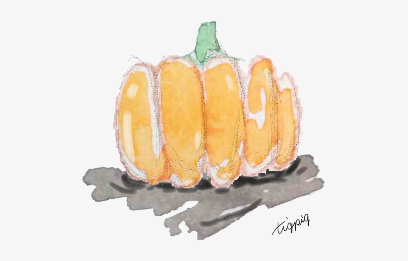 Watercolor Illustration Of Pumpkin Like A Picturebook - Pumpkin, transparent png download