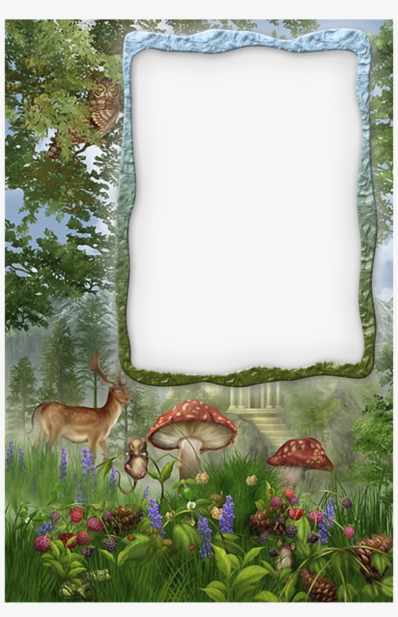 Forest Frames Transparent PNG 1200x1800 Free Download on NicePNG