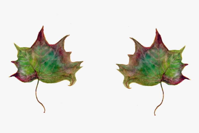 Art In The Park, transparent png download