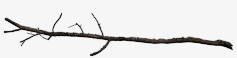 Dundjinni Mapping Software - Tree Branch Stick Transparent, transparent png download