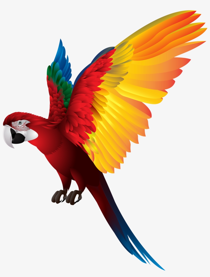 Parrot Png, transparent png download