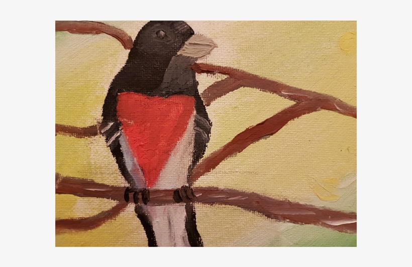 Rose Breasted Grosbeak, transparent png download
