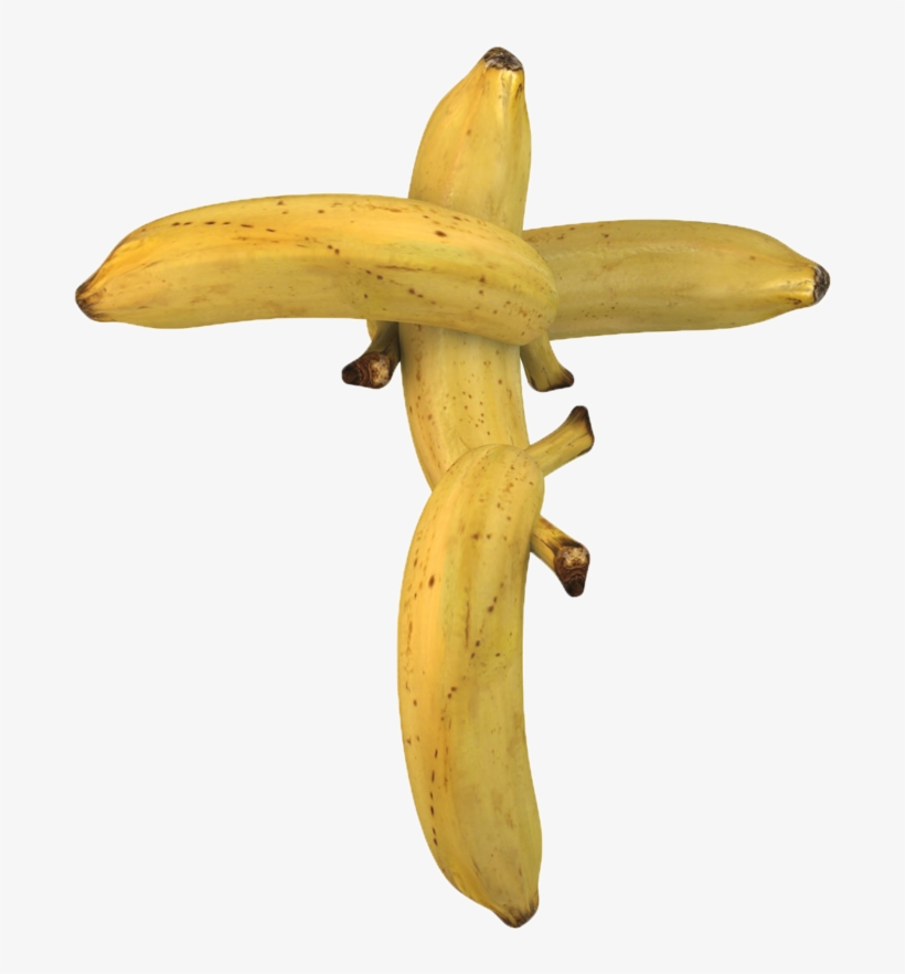 Interested Customers Must Be Willing To Relocate To - Shiitake, transparent png download
