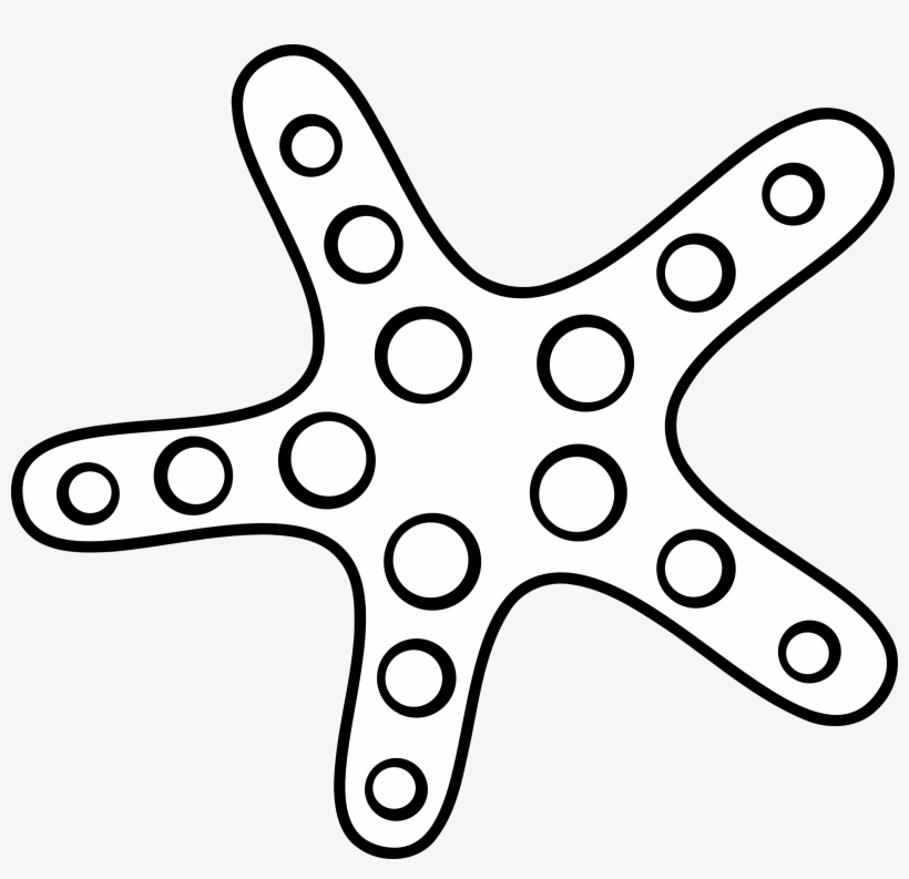 This Free Icons Png Design Of Black & White Starfish, transparent png download