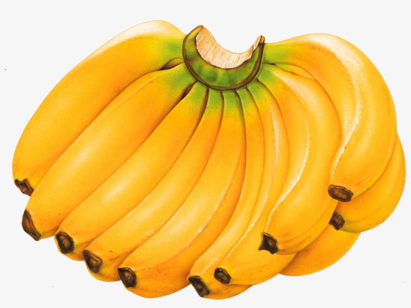 Among - Banana Images Of Fruits, transparent png download