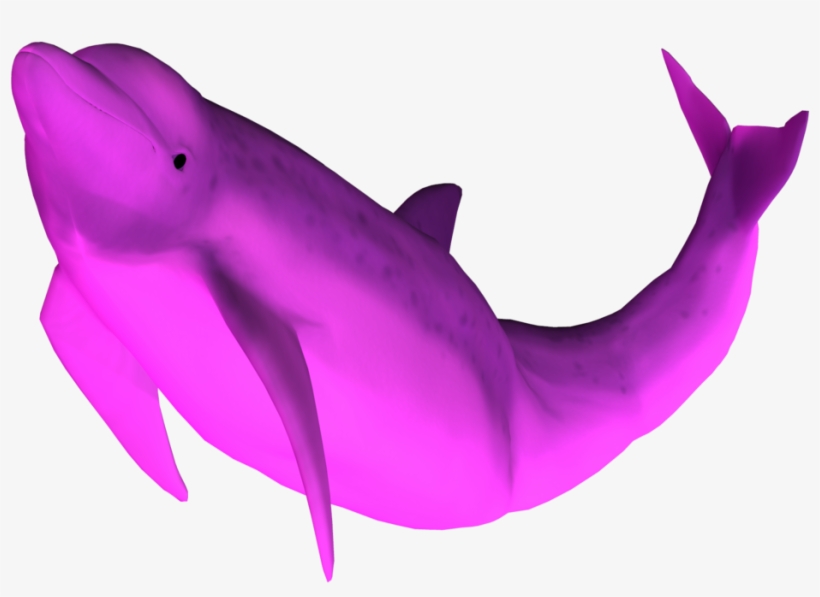 Picture Pink By Equi Vampire Stock On Deviantart - Pink Dolphin Png, transparent png download
