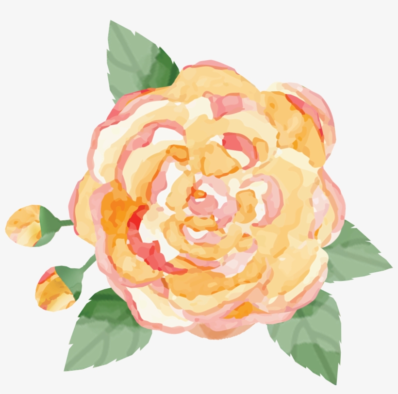 La Petite Rose Bakes - Garden Roses, transparent png download