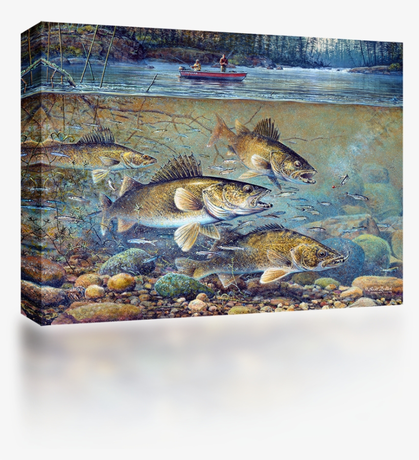Fishing - Big Walleye Painting, transparent png download