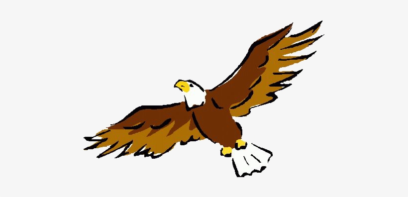 Student Life - Eagle Clipart, transparent png download