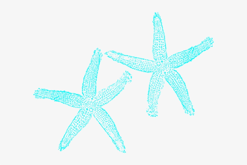 Starfish Clip Art Free - Teal Starfish, transparent png download