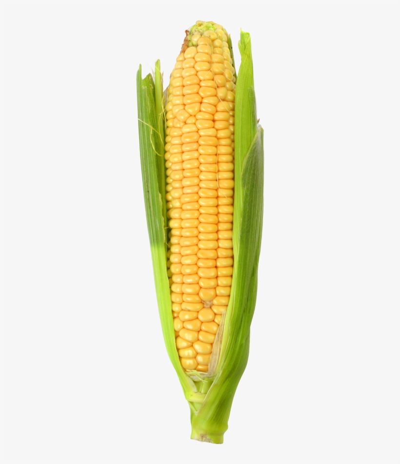 Corn Png, transparent png download