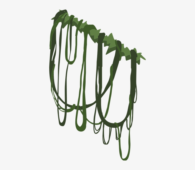 Hanging Vines - Animal Jam Hanging Vines, transparent png download