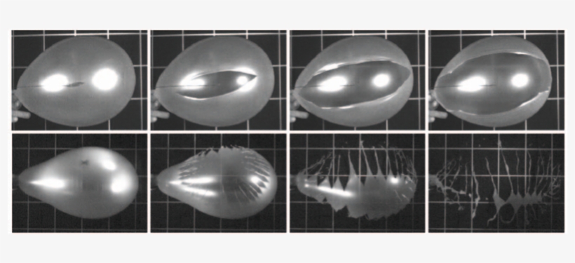 Below A Certain Internal Pressure, Balloons Burst By - Ballon De Baudruche Éclaté, transparent png download