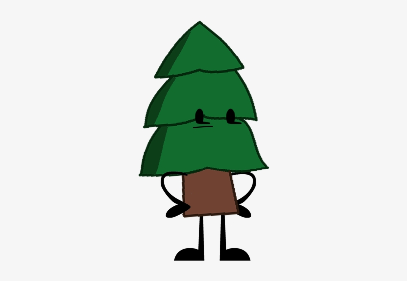 Pine Tree - - Christmas Tree, transparent png download