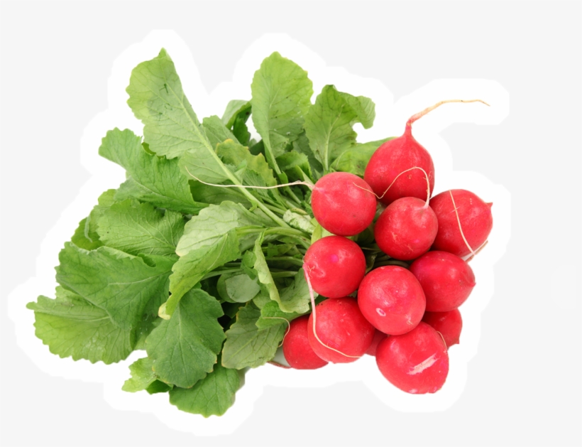 Eaters Learned To Love At Least 80% Of The Snacks As - Red Radish Holland, transparent png download