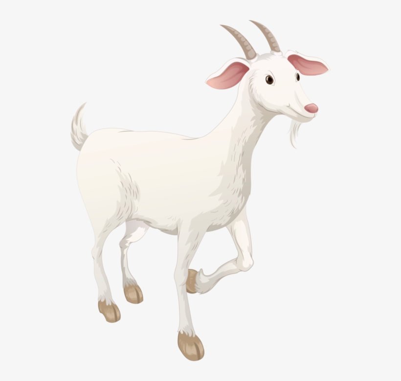 Goat Png Images - Goat, transparent png download