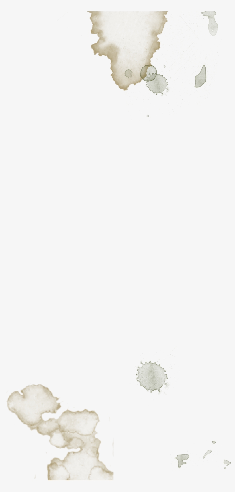 Whkqeom - Sand Dollar, transparent png download