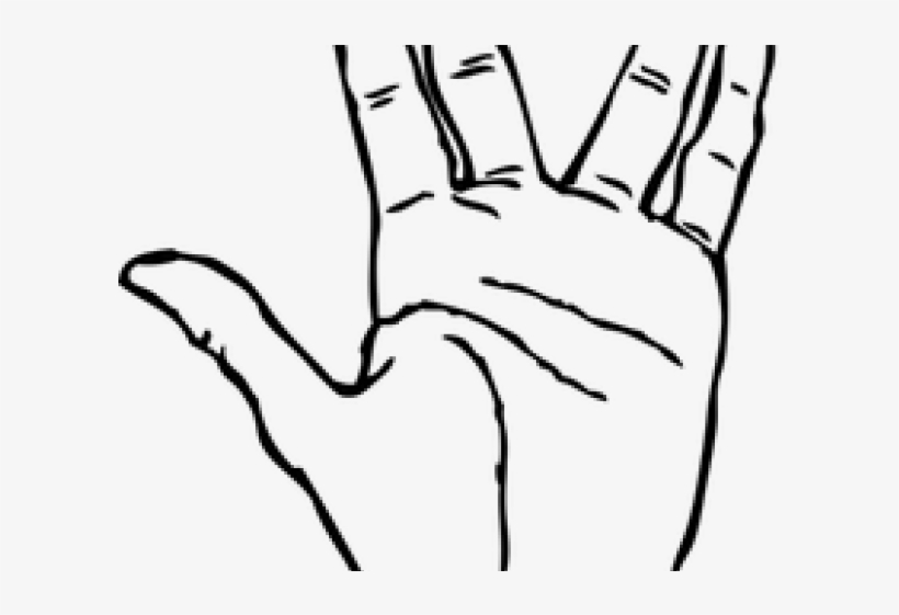 Peace Sign Clipart Ok Hand Sign - Clip Art Of Hand, transparent png download