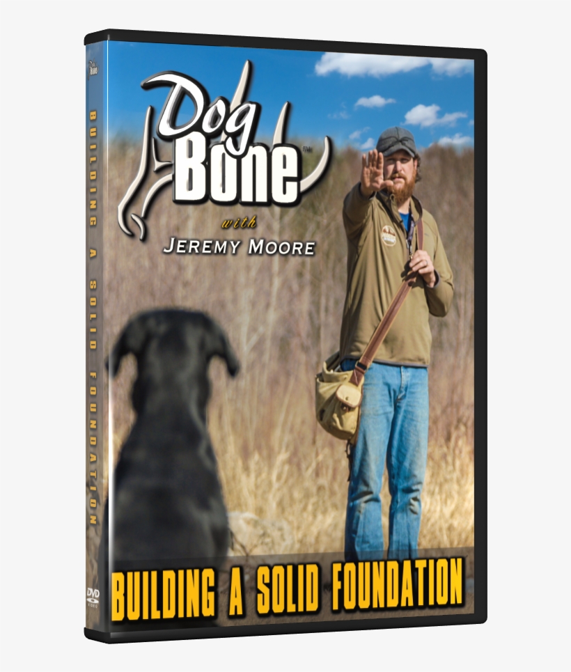 01 Foundation Dvd Front Transparent - Great Dane, transparent png download