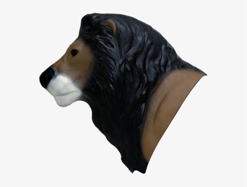 African Lion Head - Shooting Target, transparent png download