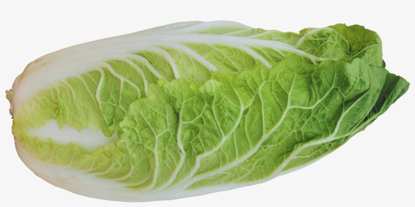Lettuce Transparent Background, transparent png download