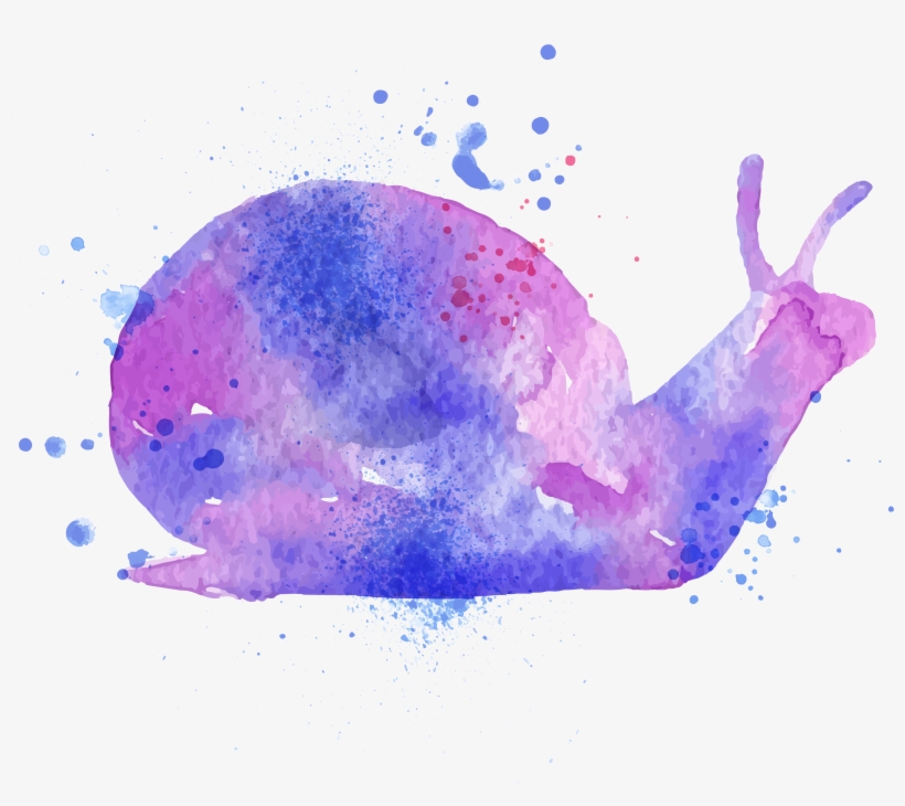 Watercolor Painting Orthogastropoda Drawing Illustration - Watercolor Painting, transparent png download