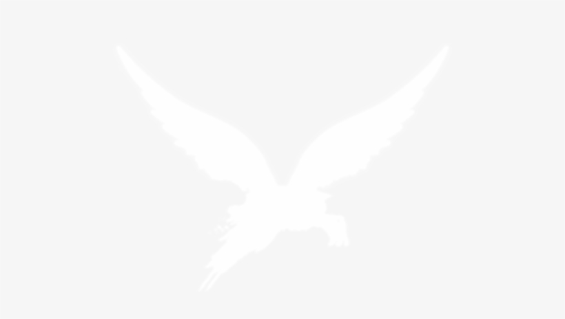 Whiteravenfx - Golden Eagle, transparent png download