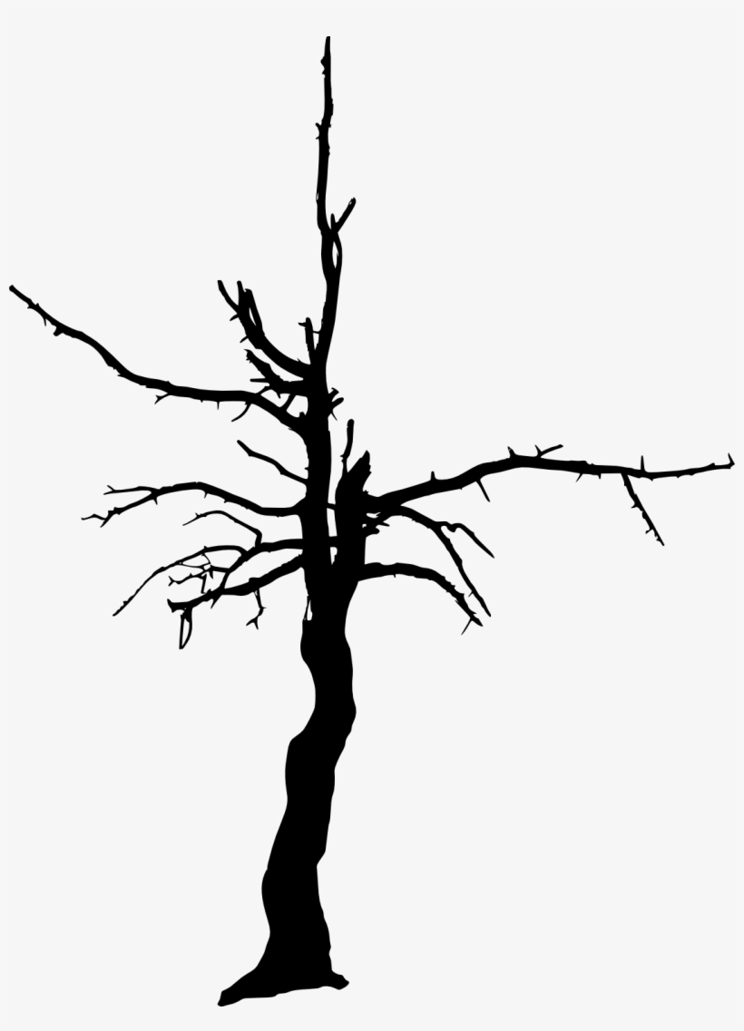 Free Download - Dry Tree Silhouettes Png, transparent png download