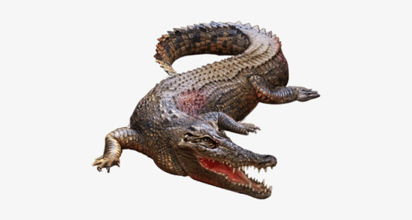 Free Png Crocodile Png Images Transparent - Crocodile Png For Picsart, transparent png download