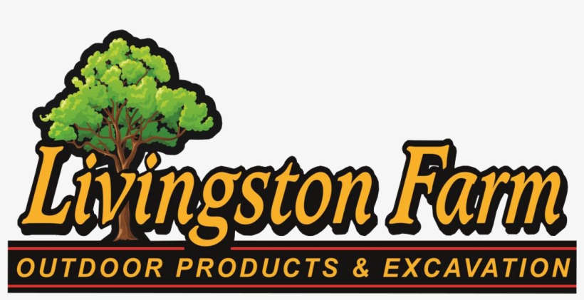 Memorial Day - Father's Day, transparent png download