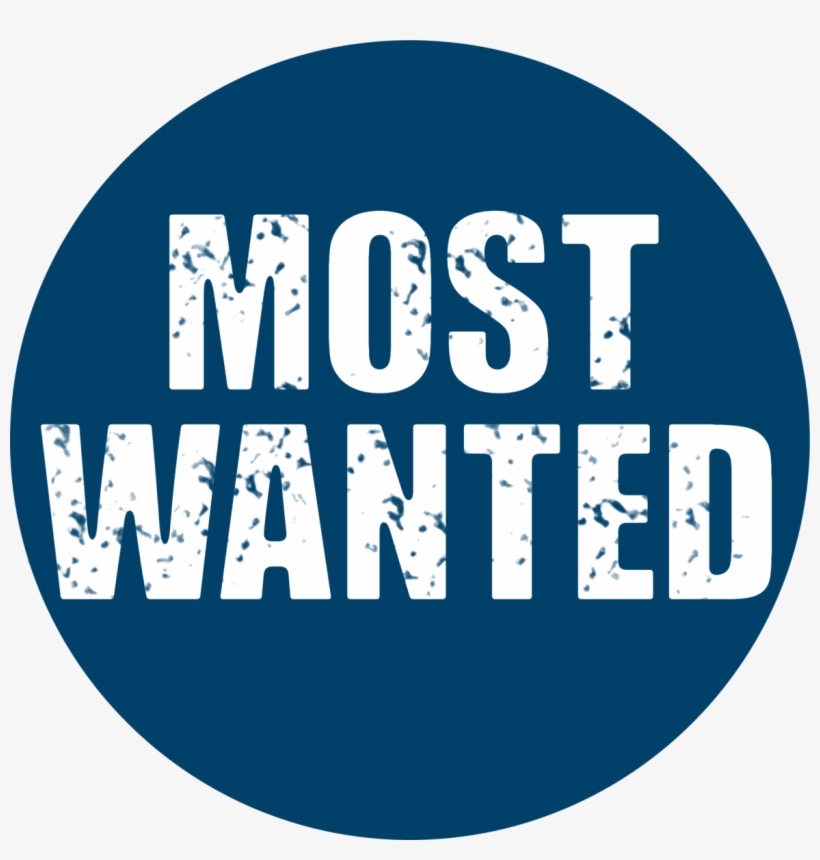 Most-wanted - Trust Thoughts In English, transparent png download