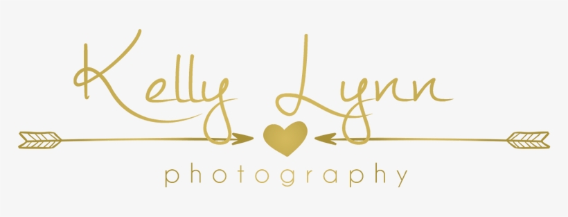 Creating Memories From Your Precious Moments - Kelly Lynn Photography, transparent png download