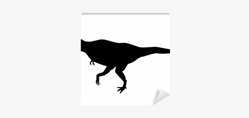 Tyrannosaurus, transparent png download