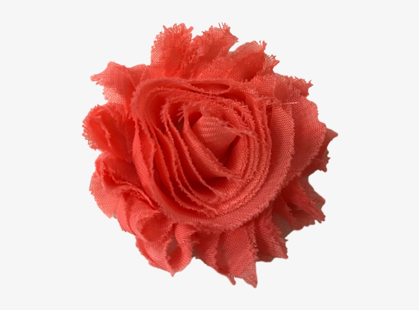 Flower, transparent png download