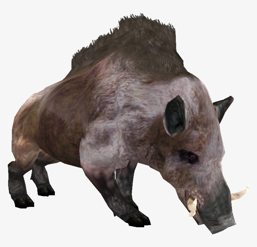 Beast Oblivian Boar - Boar Elder Scrolls, transparent png download