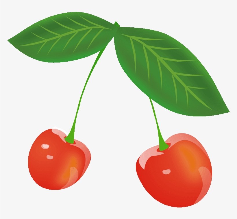 Cherry Clipart Download - Cherry, transparent png download