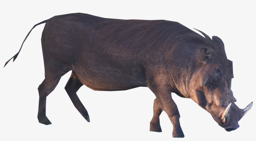 Brown Boar Standing Png Image, transparent png download