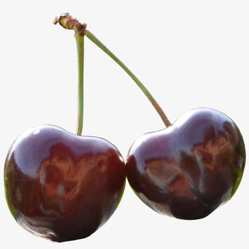 Sweet Cherry Images - Cherry, transparent png download