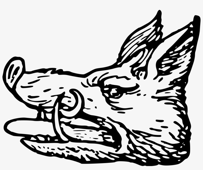 Open - Boars Head Family Crest, transparent png download