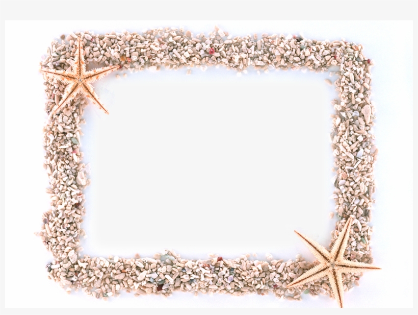 Estrellitas De Mar - Fotos, transparent png download