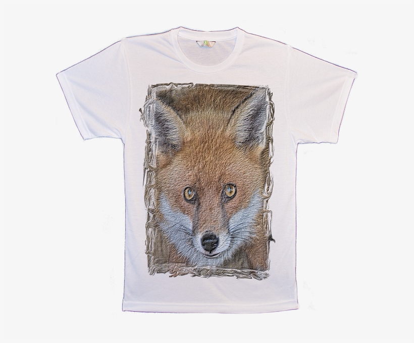 Big Animal Face Fox Gaze T-shirts Image - Swift Fox, transparent png download