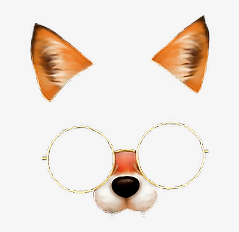 Fox Face 😍🤤 Fox Glasses Stile 💕💫 Freetoedit - Zorro Snow, transparent png download