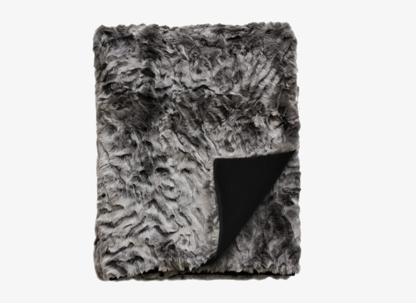 Fpct18 Pewter Chinchilla - Chinchilla, transparent png download