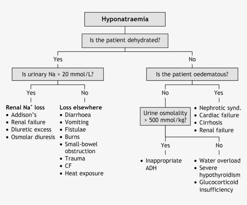 Hyponatraemia Causes - Hyponatremia Causes, transparent png download