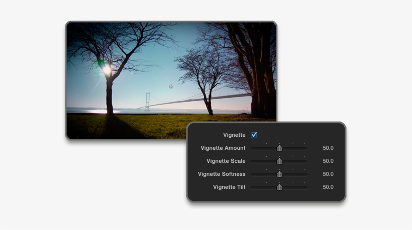 Switch Between A Light Vignette And A Dark Vignette, - Tree, transparent png download