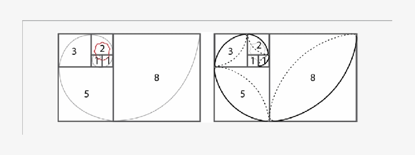 Planning The Golden Spiral Flap And Design - Golden Spiral, transparent png download